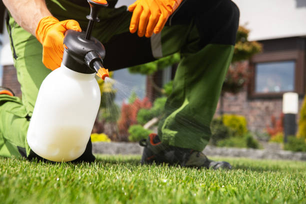 Best Pest Control for Homes  in USA